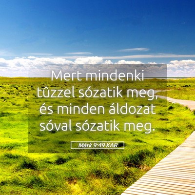 Picture 05 - Márk 9:49 KAR - Mert mindenki tûzzel sózatik meg, és minden - Bible Verse Picture