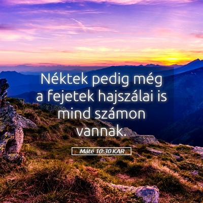 Picture 05 - Máté 10:30 KAR - Néktek pedig még a fejetek hajszálai is mind - Bible Verse Picture