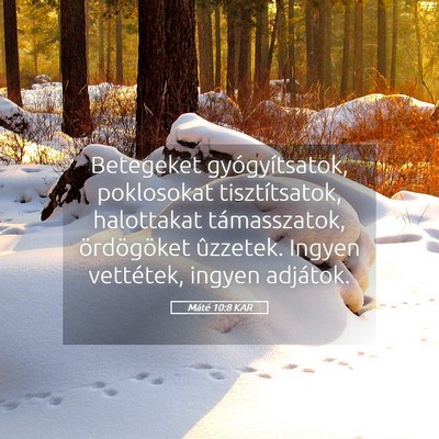 Picture 05 - Máté 10:8 KAR - Betegeket gyógyítsatok, poklosokat - Bible Verse Picture