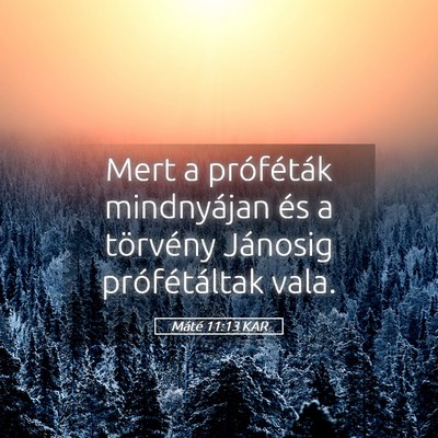 Picture 05 - Máté 11:13 KAR - Mert a próféták mindnyájan és a törvény - Bible Verse Picture