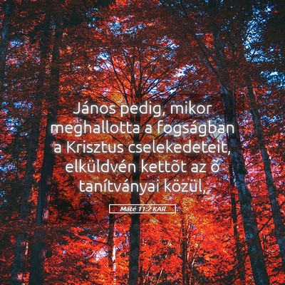 Picture 05 - Máté 11:2 KAR - János pedig, mikor meghallotta a fogságban a - Bible Verse Picture