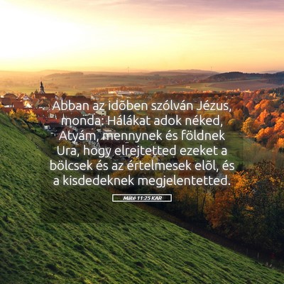 Picture 05 - Máté 11:25 KAR - Abban az idõben szólván Jézus, monda: - Bible Verse Picture