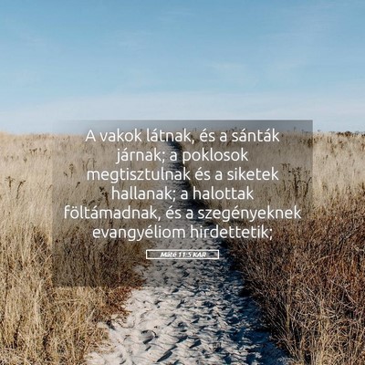 Picture 05 - Máté 11:5 KAR - A vakok látnak, és a sánták járnak; a - Bible Verse Picture