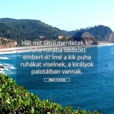 Picture 05 - Máté 11:8 KAR - Hát mit látni mentetek ki? Puha ruhába - Bible Verse Picture