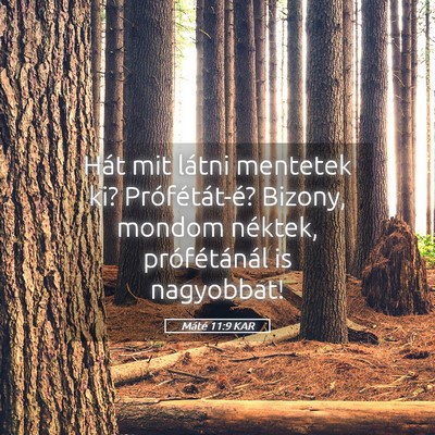 Picture 05 - Máté 11:9 KAR - Hát mit látni mentetek ki? Prófétát-é? - Bible Verse Picture