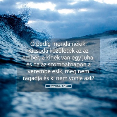 Picture 05 - Máté 12:11 KAR - Õ pedig monda nékik: Kicsoda közületek az az - Bible Verse Picture