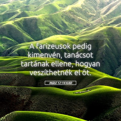 Picture 05 - Máté 12:14 KAR - A farizeusok pedig kimenvén, tanácsot tartának - Bible Verse Picture