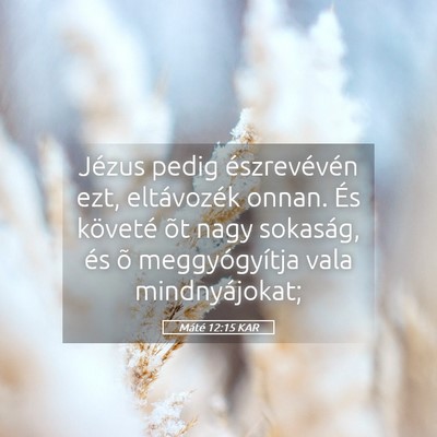 Picture 05 - Máté 12:15 KAR - Jézus pedig észrevévén ezt, eltávozék - Bible Verse Picture