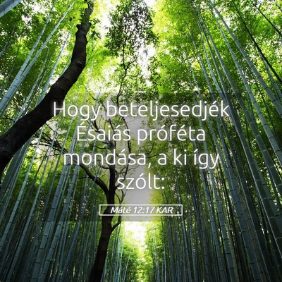 Picture 05 - Máté 12:17 KAR - Hogy beteljesedjék Ésaiás próféta mondása, - Bible Verse Picture