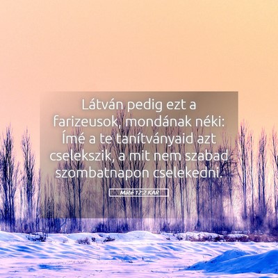 Picture 05 - Máté 12:2 KAR - Látván pedig ezt a farizeusok, mondának néki: - Bible Verse Picture