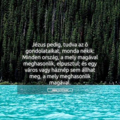Picture 05 - Máté 12:25 KAR - Jézus pedig, tudva az õ gondolataikat, monda - Bible Verse Picture