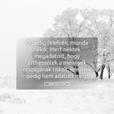 Picture 05 - Máté 13:11 KAR - Õ pedig felelvén, monda nékik: Mert néktek - Bible Verse Picture