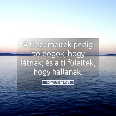 Picture 05 - Máté 13:16 KAR - A ti szemeitek pedig boldogok, hogy látnak; és - Bible Verse Picture