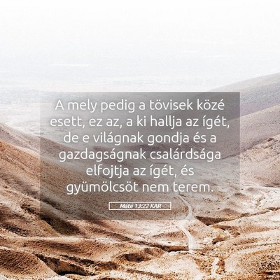 Picture 05 - Máté 13:22 KAR - A mely pedig a tövisek közé esett, ez az, a ki - Bible Verse Picture