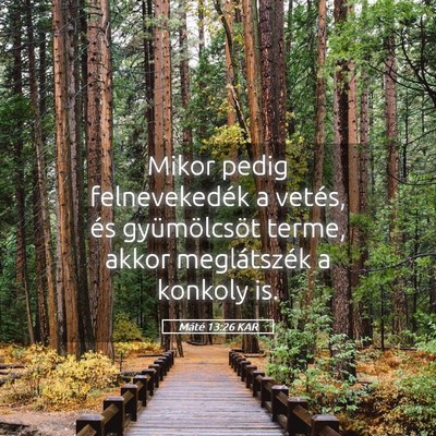 Picture 05 - Máté 13:26 KAR - Mikor pedig felnevekedék a vetés, és - Bible Verse Picture