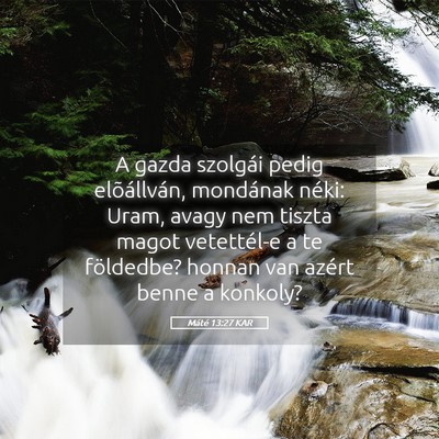 Picture 05 - Máté 13:27 KAR - A gazda szolgái pedig elõállván, mondának - Bible Verse Picture
