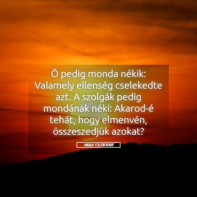 Picture 05 - Máté 13:28 KAR - Õ pedig monda nékik: Valamely ellenség - Bible Verse Picture