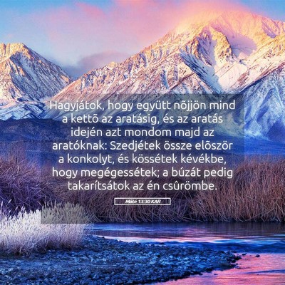 Picture 05 - Máté 13:30 KAR - Hagyjátok, hogy együtt nõjjön mind a kettõ - Bible Verse Picture