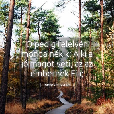 Picture 05 - Máté 13:37 KAR - Õ pedig felelvén monda nékik: A ki a jó magot - Bible Verse Picture