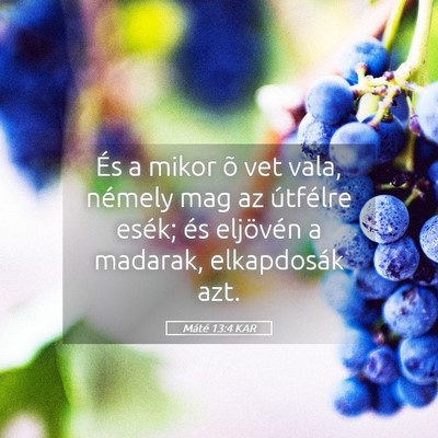Picture 05 - Máté 13:4 KAR - És a mikor õ vet vala, némely mag az útfélre - Bible Verse Picture