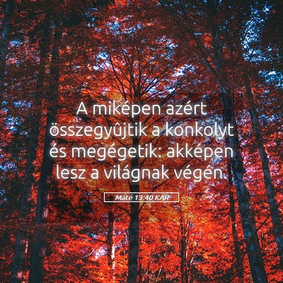 Picture 05 - Máté 13:40 KAR - A miképen azért összegyûjtik a konkolyt és - Bible Verse Picture