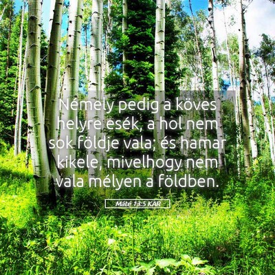 Picture 05 - Máté 13:5 KAR - Némely pedig a köves helyre esék, a hol nem - Bible Verse Picture