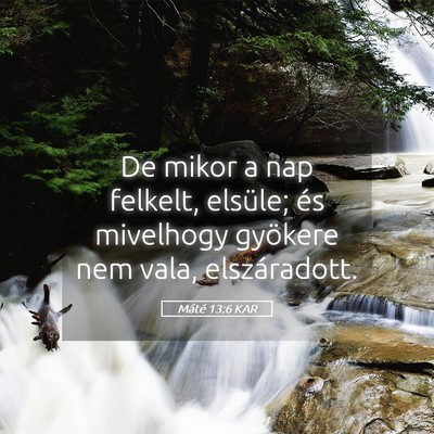 Picture 05 - Máté 13:6 KAR - De mikor a nap felkelt, elsüle; és mivelhogy - Bible Verse Picture