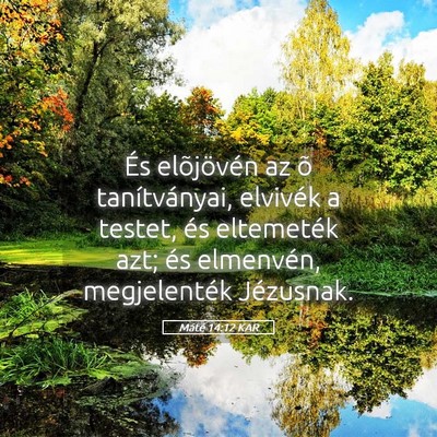 Picture 05 - Máté 14:12 KAR - És elõjövén az õ tanítványai, elvivék a - Bible Verse Picture