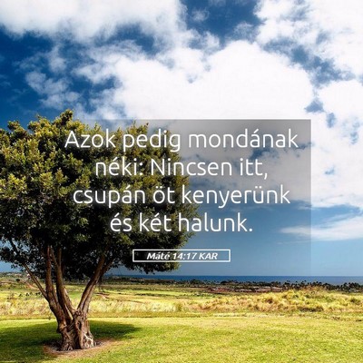 Picture 05 - Máté 14:17 KAR - Azok pedig mondának néki: Nincsen itt, csupán - Bible Verse Picture