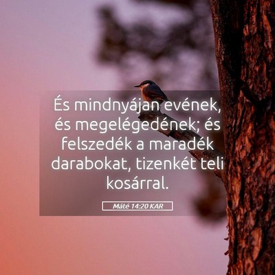 Picture 05 - Máté 14:20 KAR - És mindnyájan evének, és megelégedének; és - Bible Verse Picture