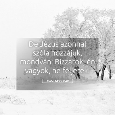 Picture 05 - Máté 14:27 KAR - De Jézus azonnal szóla hozzájuk, mondván: - Bible Verse Picture