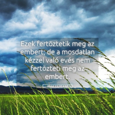 Picture 05 - Máté 15:20 KAR - Ezek fertõztetik meg az embert; de a mosdatlan - Bible Verse Picture