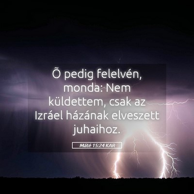 Picture 05 - Máté 15:24 KAR - Õ pedig felelvén, monda: Nem küldettem, csak - Bible Verse Picture