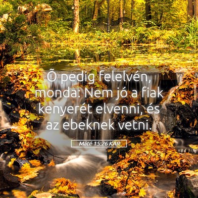 Picture 05 - Máté 15:26 KAR - Õ pedig felelvén, monda: Nem jó a fiak - Bible Verse Picture