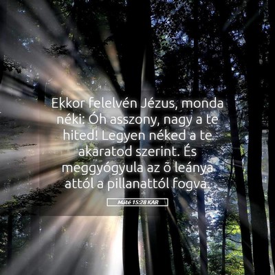Picture 05 - Máté 15:28 KAR - Ekkor felelvén Jézus, monda néki: Óh asszony, - Bible Verse Picture