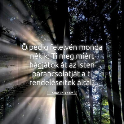 Picture 05 - Máté 15:3 KAR - Õ pedig felelvén monda nékik: Ti meg miért - Bible Verse Picture