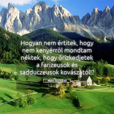Picture 05 - Máté 16:11 KAR - Hogyan nem értitek, hogy nem kenyérrõl mondtam - Bible Verse Picture