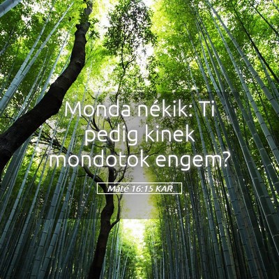 Picture 05 - Máté 16:15 KAR - Monda nékik: Ti pedig kinek mondotok - Bible Verse Picture