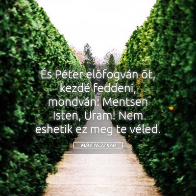 Picture 05 - Máté 16:22 KAR - És Péter elõfogván õt, kezdé feddeni, - Bible Verse Picture