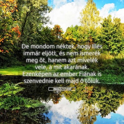 Picture 05 - Máté 17:12 KAR - De mondom néktek, hogy Illés immár eljött, - Bible Verse Picture