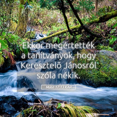 Picture 05 - Máté 17:13 KAR - Ekkor megértették a tanítványok, hogy - Bible Verse Picture