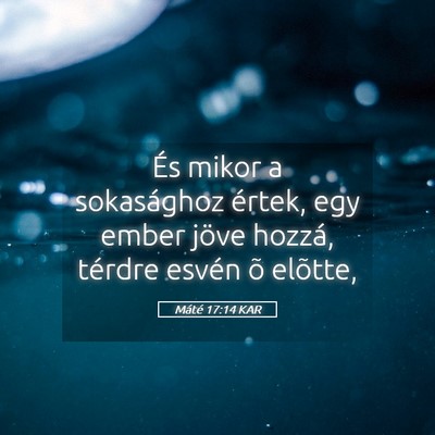 Picture 05 - Máté 17:14 KAR - És mikor a sokasághoz értek, egy ember jöve - Bible Verse Picture