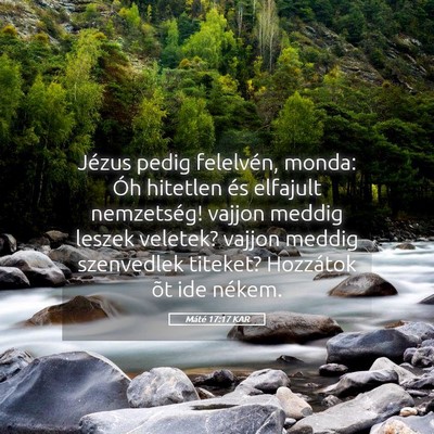 Picture 05 - Máté 17:17 KAR - Jézus pedig felelvén, monda: Óh hitetlen és - Bible Verse Picture