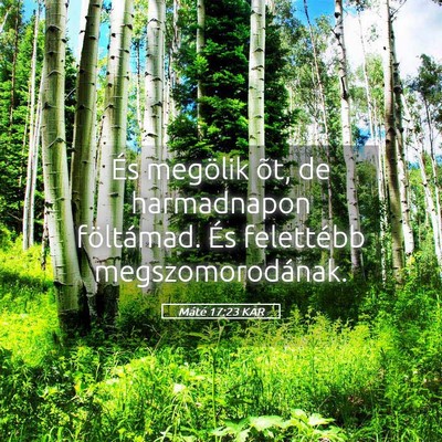 Picture 05 - Máté 17:23 KAR - És megölik õt, de harmadnapon föltámad. És - Bible Verse Picture
