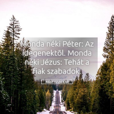 Picture 05 - Máté 17:26 KAR - Monda néki Péter: Az idegenektõl. Monda néki - Bible Verse Picture