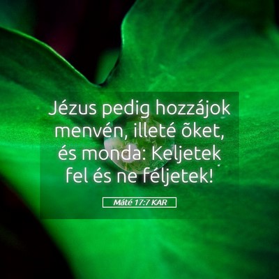 Picture 05 - Máté 17:7 KAR - Jézus pedig hozzájok menvén, illeté õket, - Bible Verse Picture