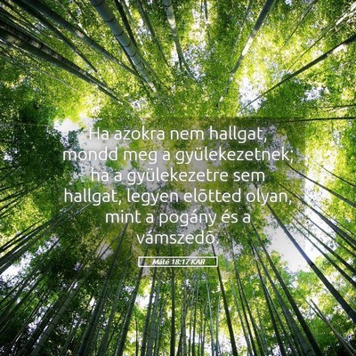 Picture 05 - Máté 18:17 KAR - Ha azokra nem hallgat, mondd meg a - Bible Verse Picture