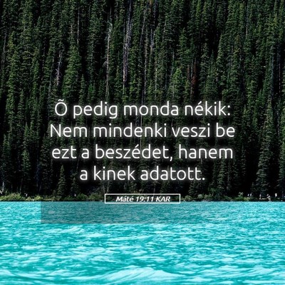 Picture 05 - Máté 19:11 KAR - Õ pedig monda nékik: Nem mindenki veszi be ezt - Bible Verse Picture