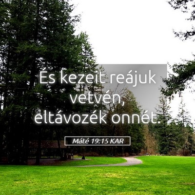 Picture 05 - Máté 19:15 KAR - És kezeit reájuk vetvén, eltávozék - Bible Verse Picture