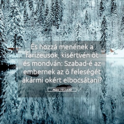 Picture 05 - Máté 19:3 KAR - És hozzá menének a farizeusok, kisértvén õt - Bible Verse Picture